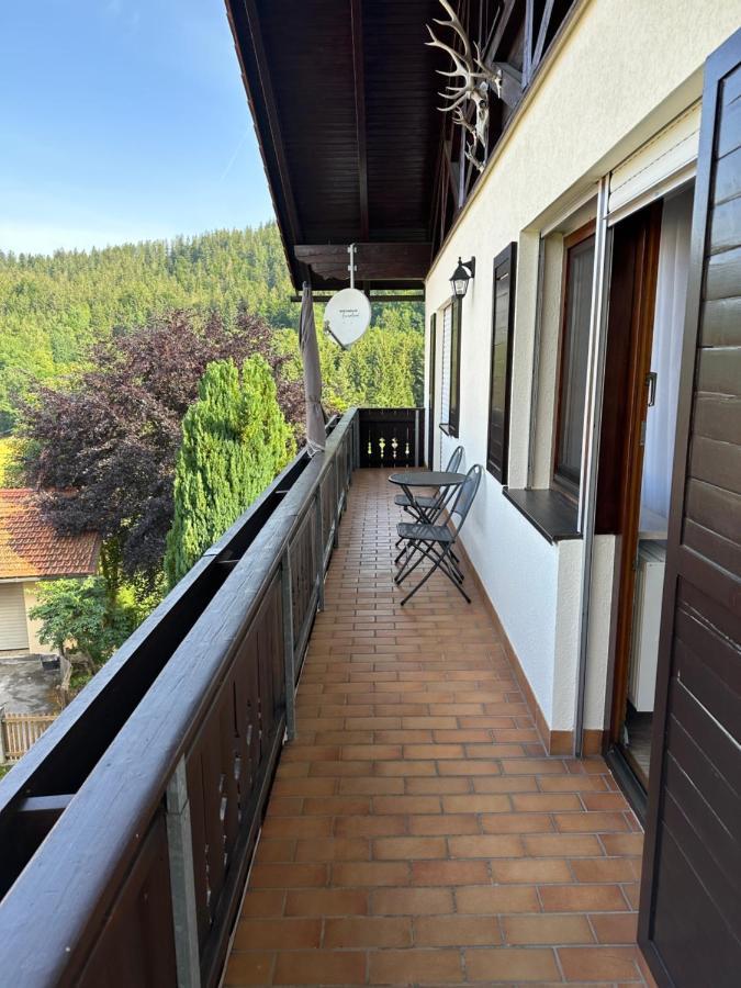 Apartament Haus Monica Bodenmais Zewnętrze zdjęcie